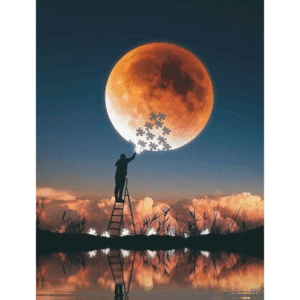 Moonlight Paint By Numbers On Canvas, Single Man With Puzzles