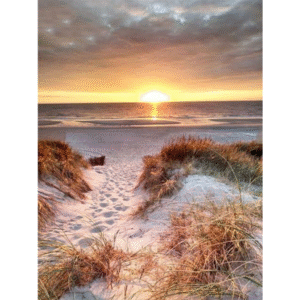 Sandy Beach At Dawn, Landscape Paint By Numbers