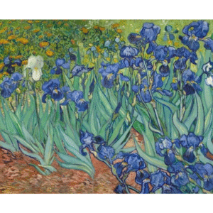 Blue Flower Paint By Numbers